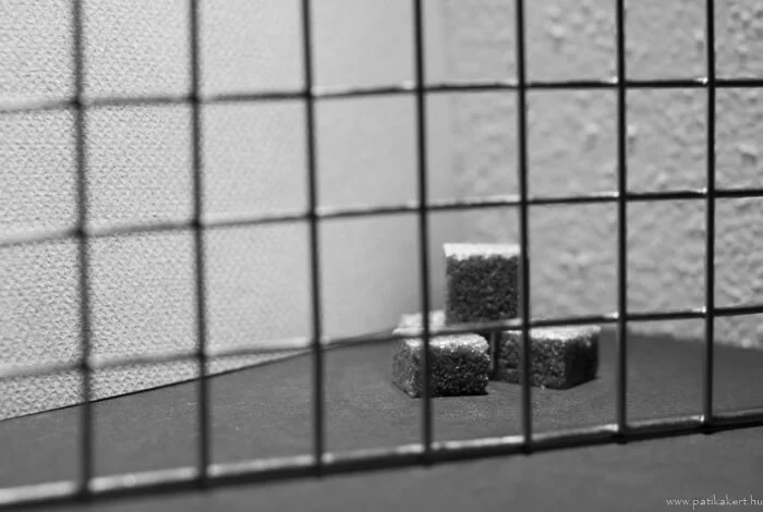 2022-re több lesz az elhízott, mint a sovány fiatal, és drasztikusan nő az alultápláltak száma, a fejlett világban is!