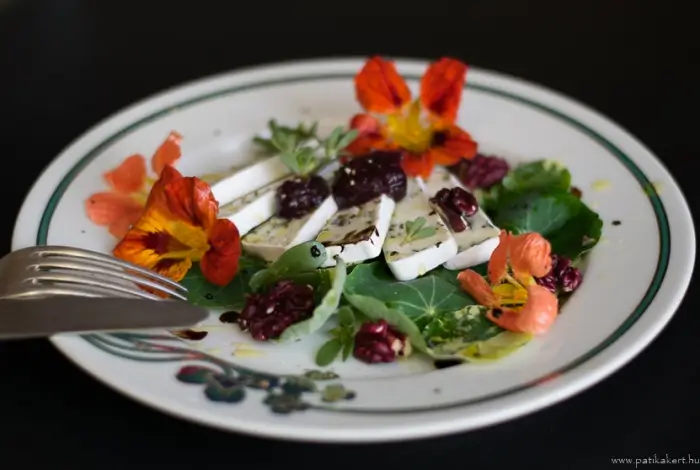 Camembert sajt, Patikakert Froot Ritual-al, zöldekkel és dióval