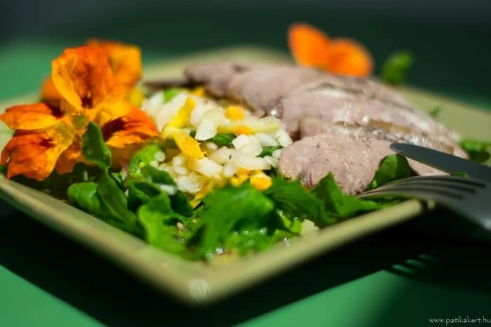 Lassan sült hideg libamell, fermentált zöldség keverékkel