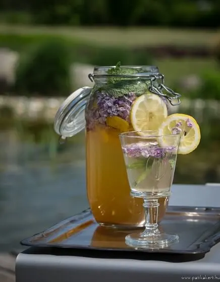 Limonádék, virágok hozzáadásával – egyszerű és finom :-)