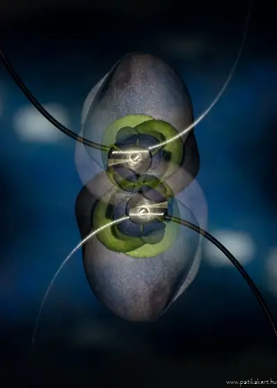 A szépirodalom is tele van vitaminokkal ;-) !