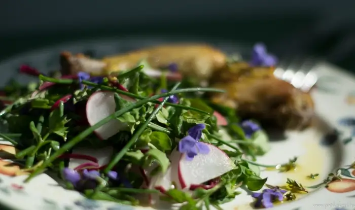 Tavaszi tyúkhúrsaláta ehető ibolyával – „Mi ez a mező már megint a tányéron???”