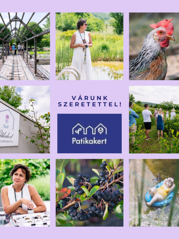 Nyílt Nap 2025. 09. 20. (Délelőtt, 10.00 órai kezdéssel)